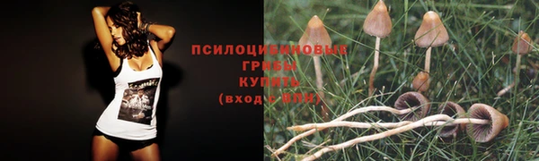 хмурый Горнозаводск