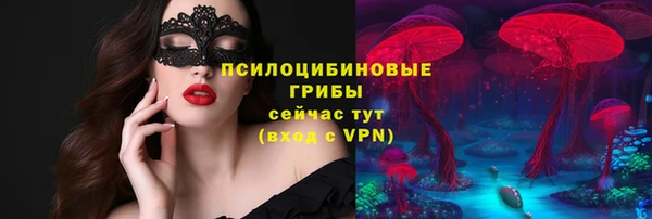 хмурый Горнозаводск