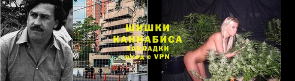 героин Горняк