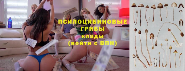 хмурый Горнозаводск