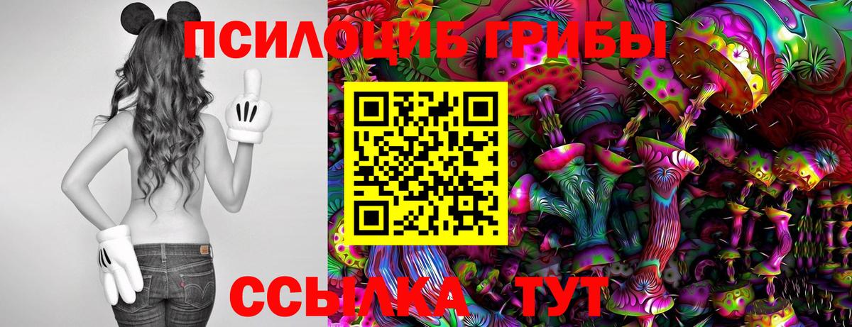 Псилоцибиновые грибы ЛСД Муром