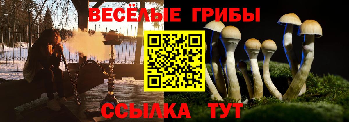 Псилоцибиновые грибы ЛСД  Псилоцибиновые грибы ЛСД  Вход с VPN  Муром 